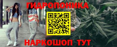 шишки Севастополь