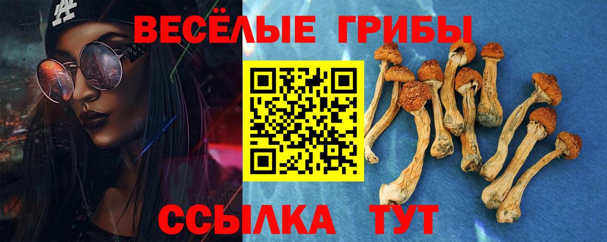 Ангарск  Псилоцибиновые грибы прущие грибы  где найти   Вход с VPN 